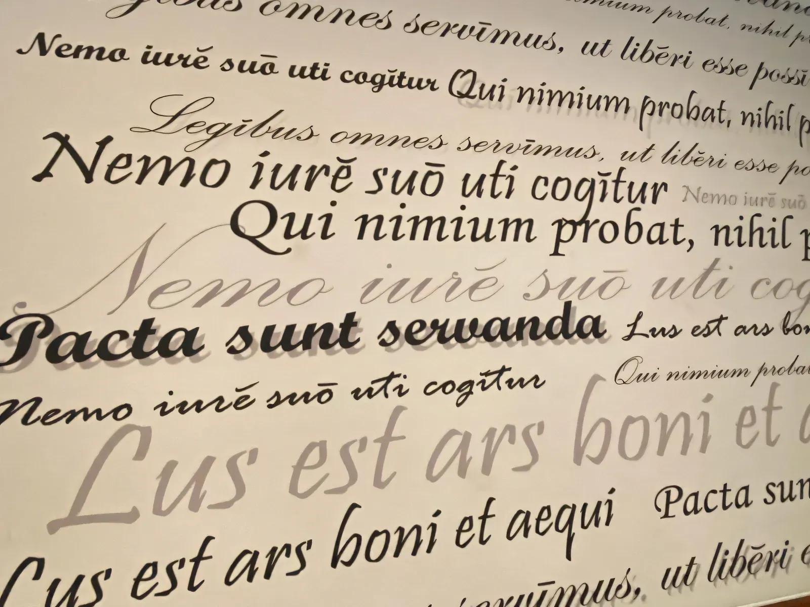 Стіна офісу нотаріуса Лаврик з латинськими юридичними максимами Pacta sunt servanda та Lus est ars boni et aequi
